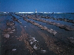 波状岩・青島