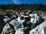 鵜戸岩礁