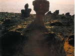 鵜戸岩礁