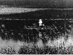 代搔き・都城郊外（S43.5）
