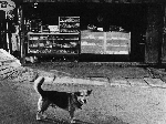 駄菓子屋・蔵原附近(S44.9）